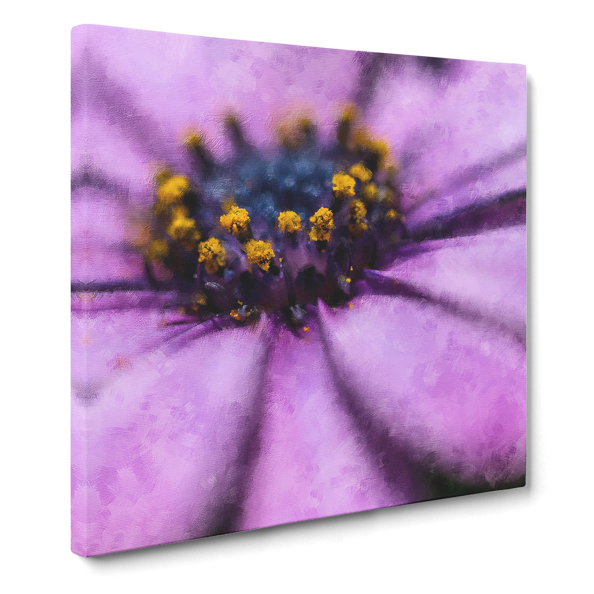 Pollen of a Purple Gerbera Flower Canvas Print, Mixed, 35L x 35W cm