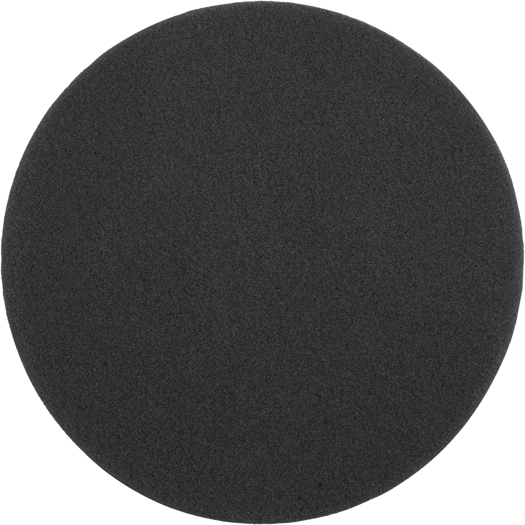 RAKSCRUBF Sponge Brush (Single)