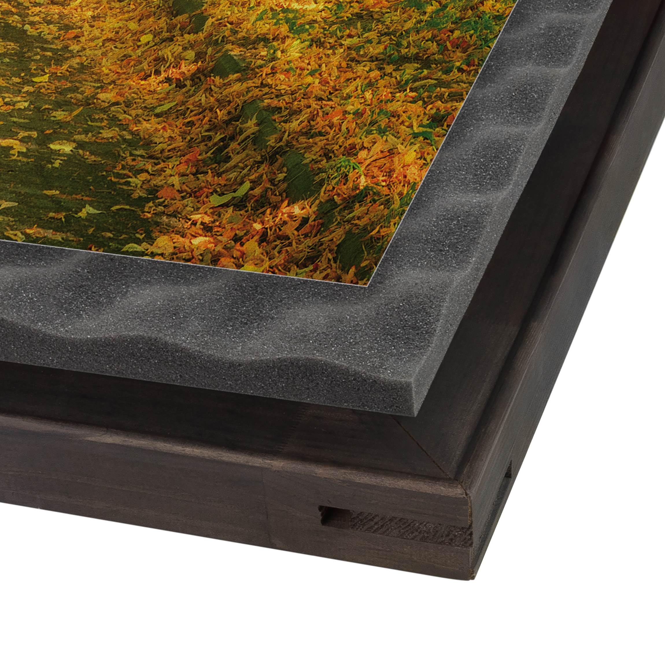 micasia Akustikbild Wald Bäume Natur Schallschutzbild 4cm Keilrahmen & Schallabsorber - Baum Modern grün Wohnzimmer Schlafzimmer Bild für bessere Raumakustik 1672 (150x100cm)