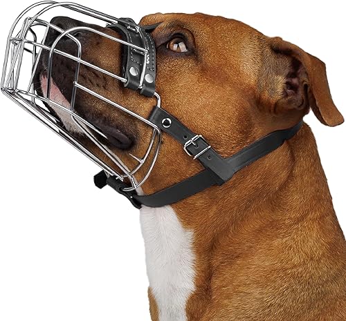 Miniatura 7 de BRONZEDOG Bozal para perros con máscara de metal para perros medianos y grandes (tamaño 4 Pitbull y Amstaff)