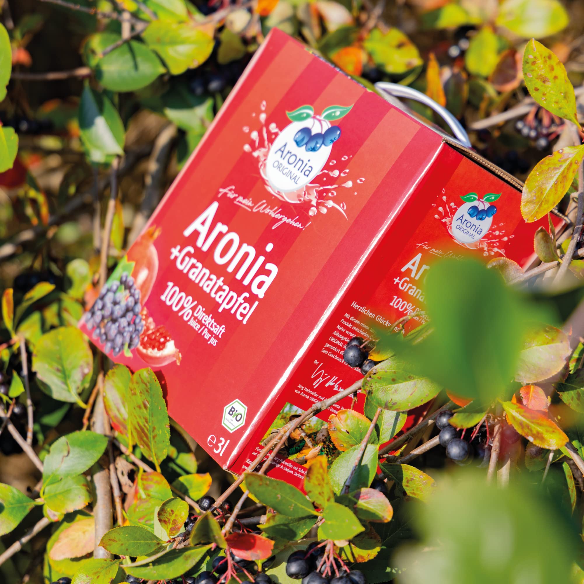 Aronia ORIGINAL Bio Aronia + Granatapfel Muttersaft | 3 Liter Direktsaft | Vegan, ohne Konservierungsstoffe, ohne Zuckerzusatz (lt. Gesetz) (Packung mit 2)