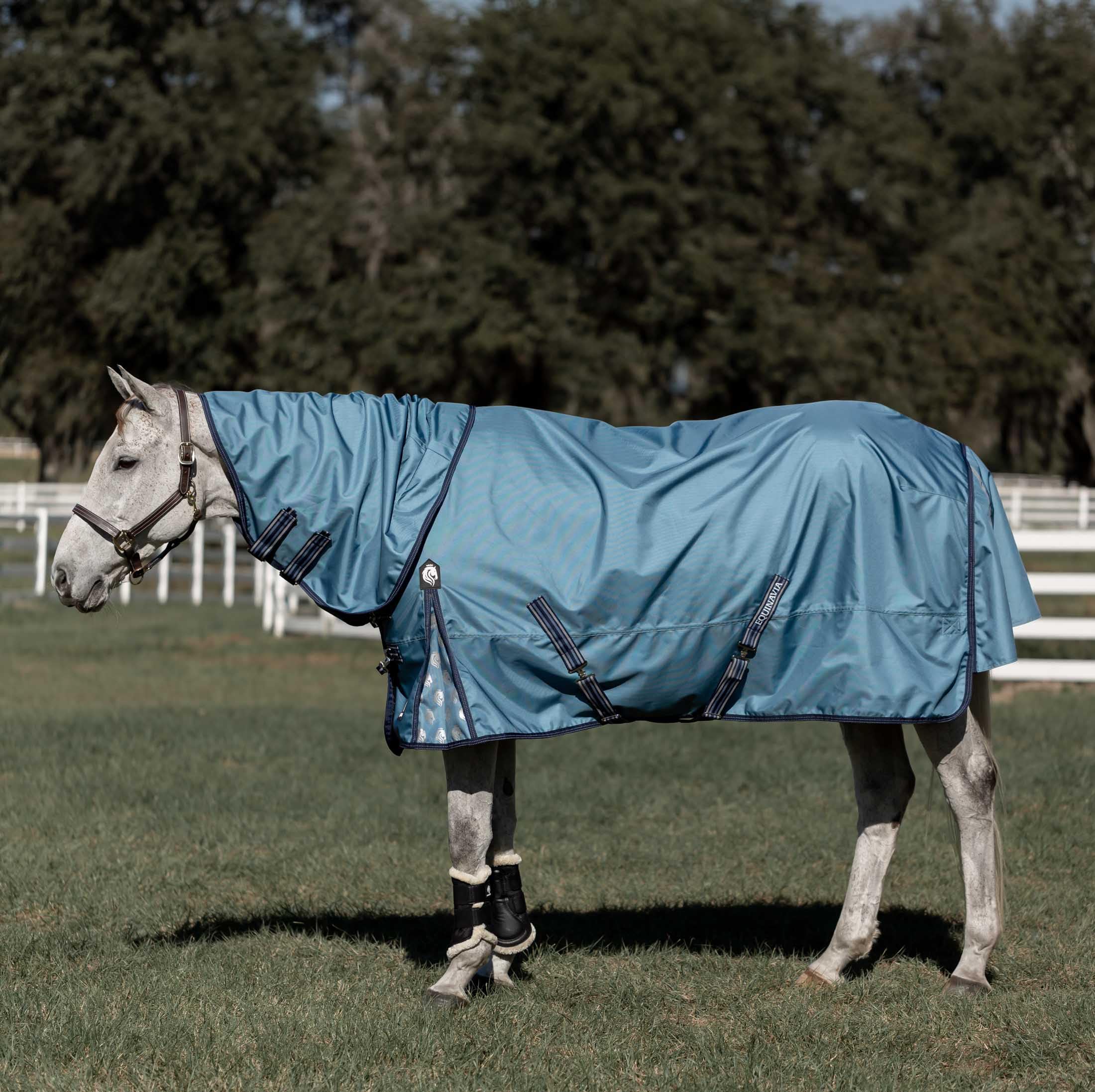 Equinavia Thunder 360 Detachable Neck Turnout Sheet - Bluestone Blue - 81 in