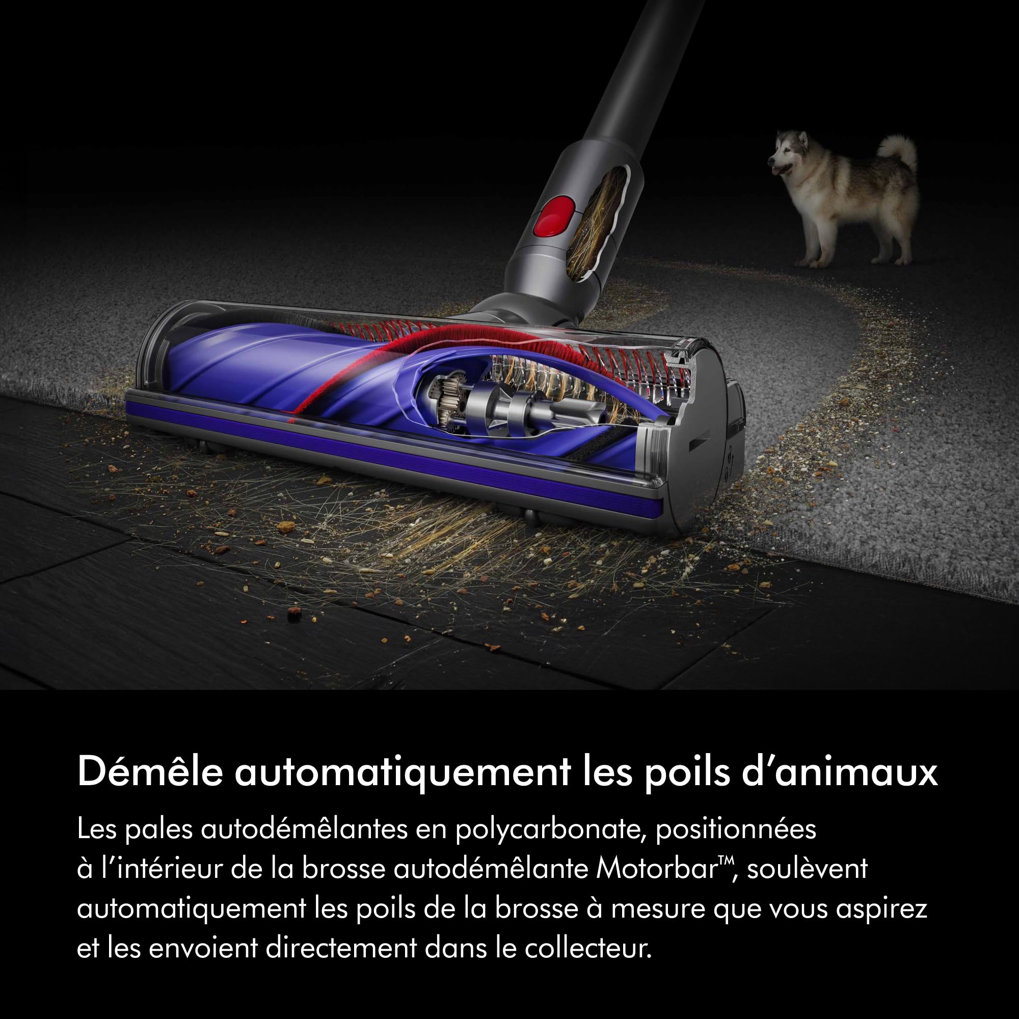 Dyson V8 Origin Aspirateur sans Fil, 130 AW, Jusqu’à 40 Min d’autonomie, Brosse Motorbar Anti-enchevêtrement, et Sol 2026