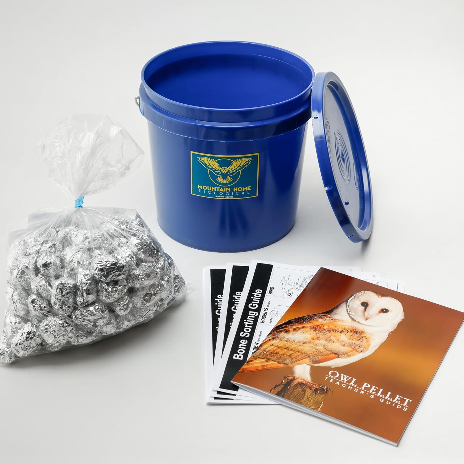 Bargain Bucket, 100 Small Owl Pellets with Teachers Guide and Bone Sorting Sheets