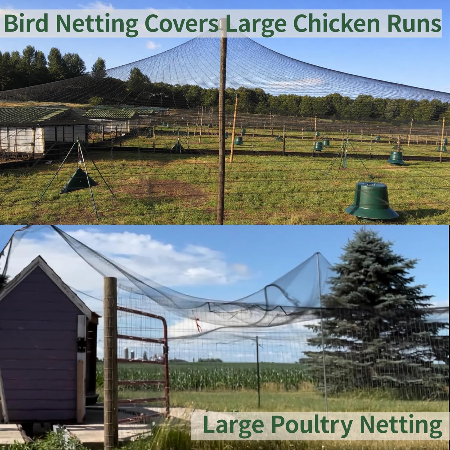 25x50ft Bird Netting for Chicken Coop 1 inch Mesh Poultry Netting Heavy Duty Hawk Netting for Chicken Run, Netting for Garden Protection Fruit Tree Aviary Netting Against Squirrels Deer Small Animals