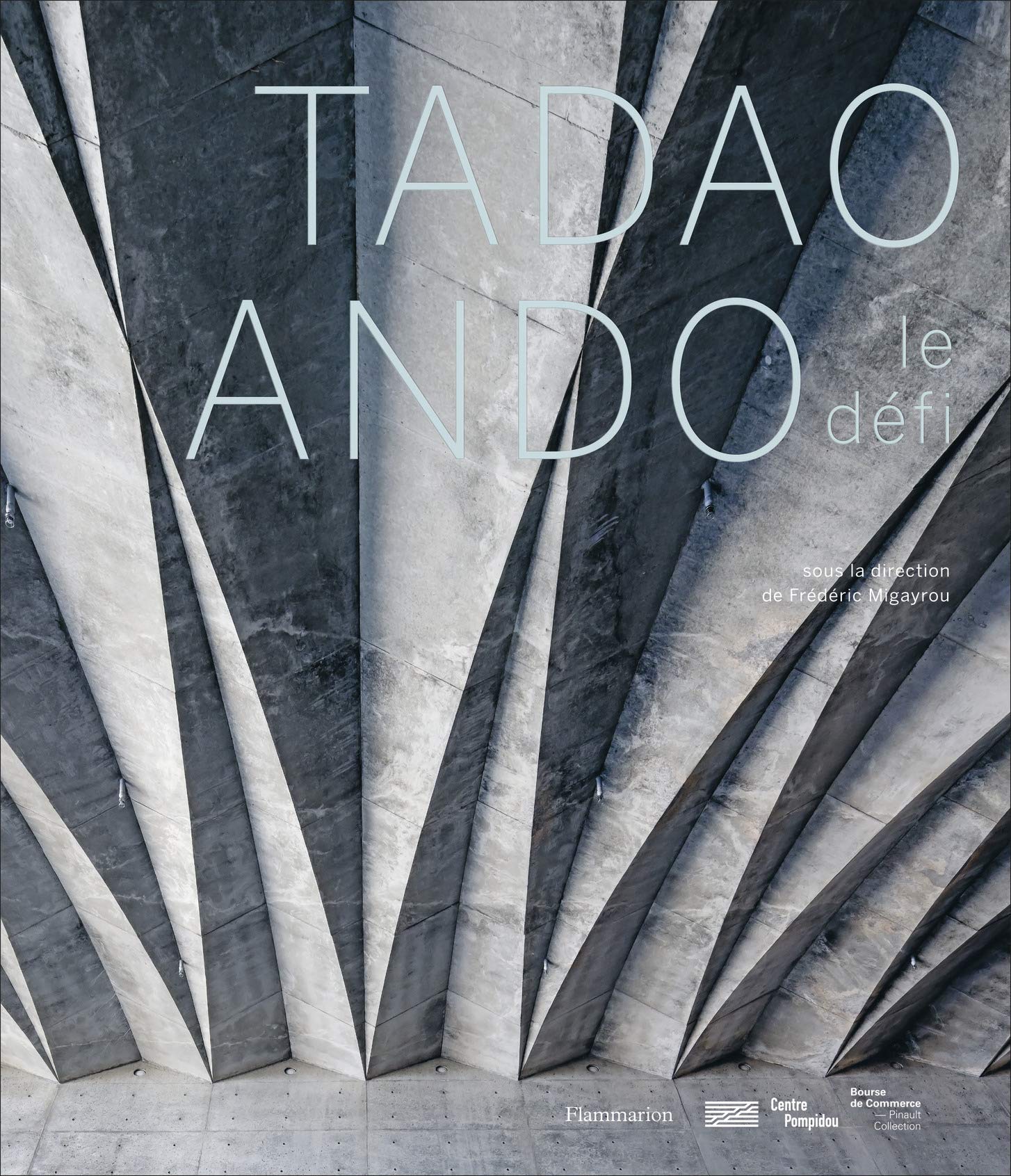 Tadao Ando: Le défi