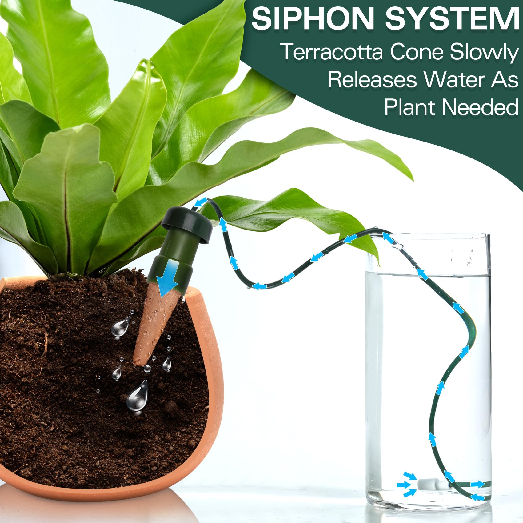 fiddle leaf fig tree ikea Ficus Bambino Tree Form Single Stem, Fiddle Leaf Fig Tree