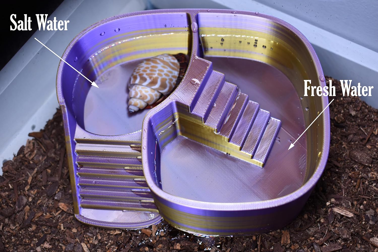 Dual Zone Hermit Crab Swimming Pool, 2-in-1 Soaking Tub for Fresh & Salted Water. Hermit Crab Food Bowl & Bath Tub with Climbing Ramp (Silk Gold Purple, Large)