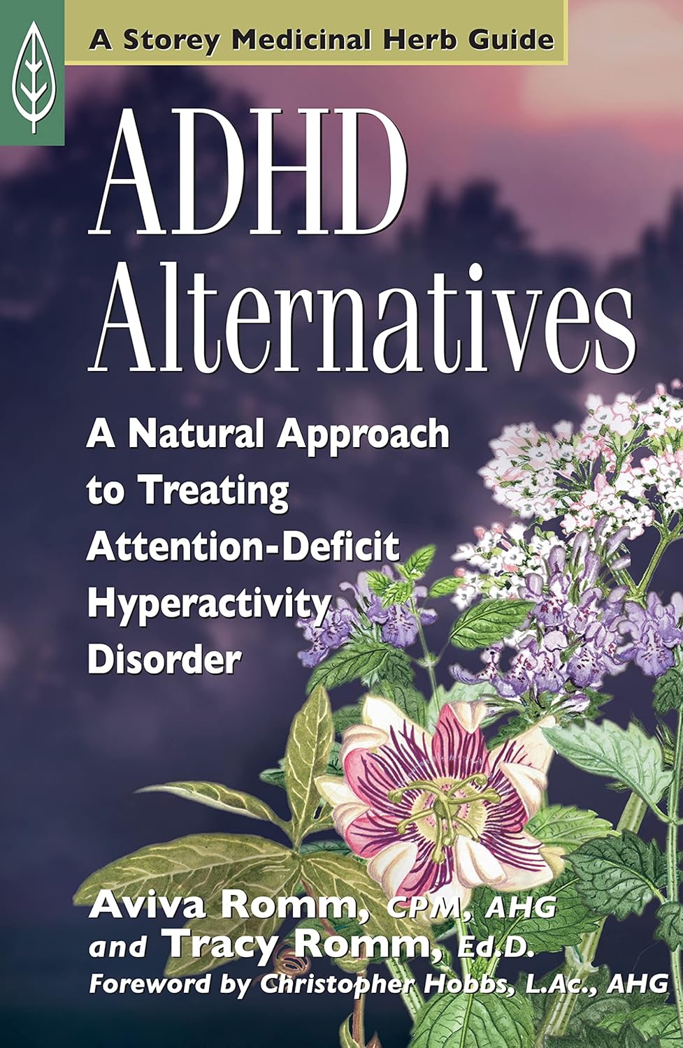ADHD Alternatives A Natural Approach to Treating Attention