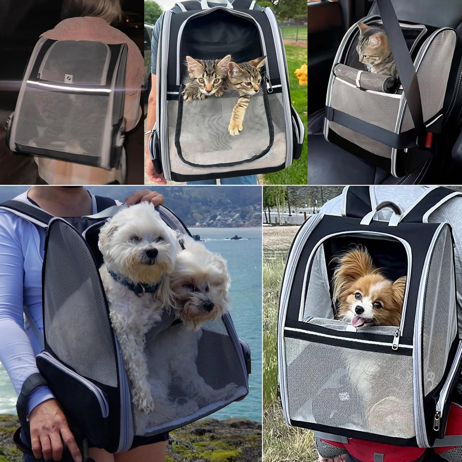 Transportin Gato Mochilas para Gatos y Perros, Bolsa portátil y Plegable para Gatos, Bolsa Transpirable y Ligera para Perros, Mochila De Viaje para Perros Pequeños