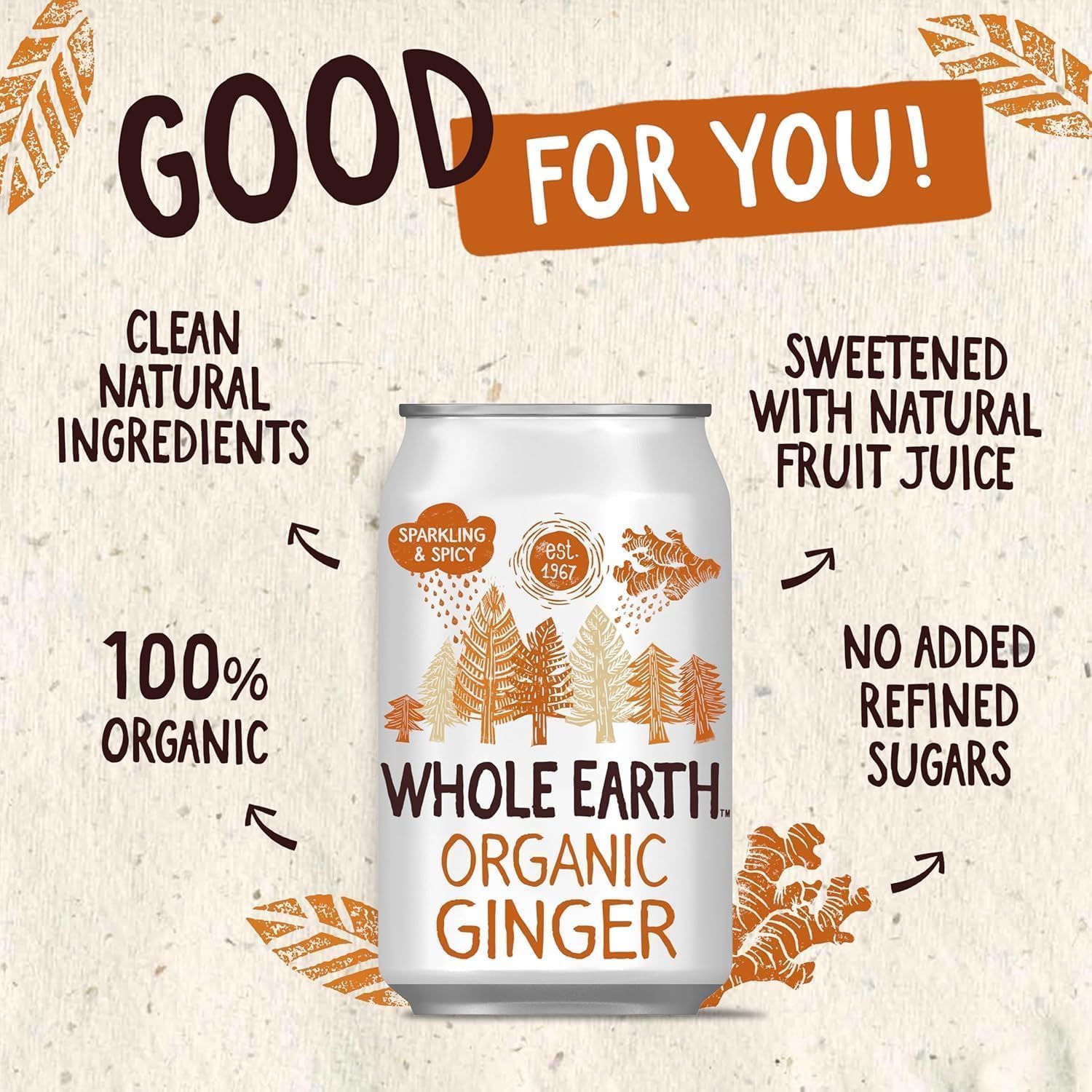 Whole Earth Refresco De X 330ml (bio), Jengibre, 24 Unidad