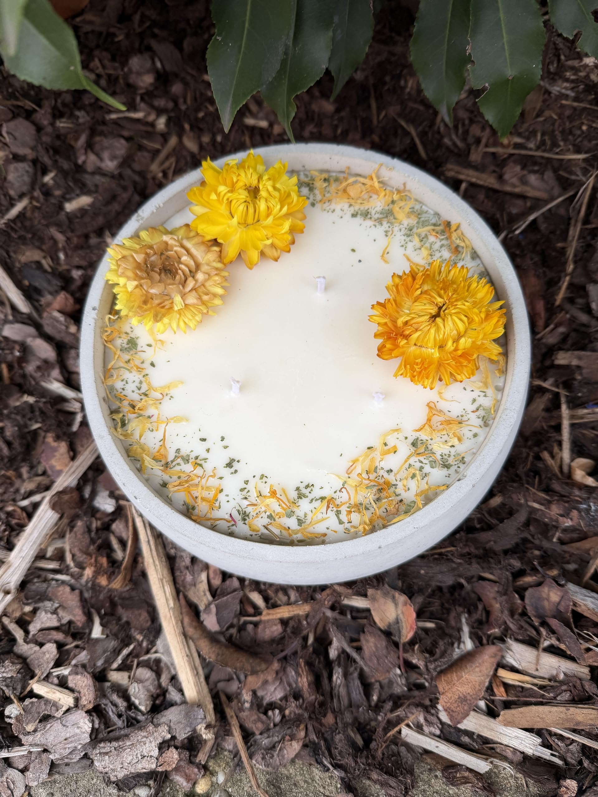XL Betonkerze Big Sunshine, Citronella, Ø 18cm | Handgegossen, 3-Docht Sojawachs, Mit echten gelben Blüten, Vegan & Nachhaltig, Made in Germany
