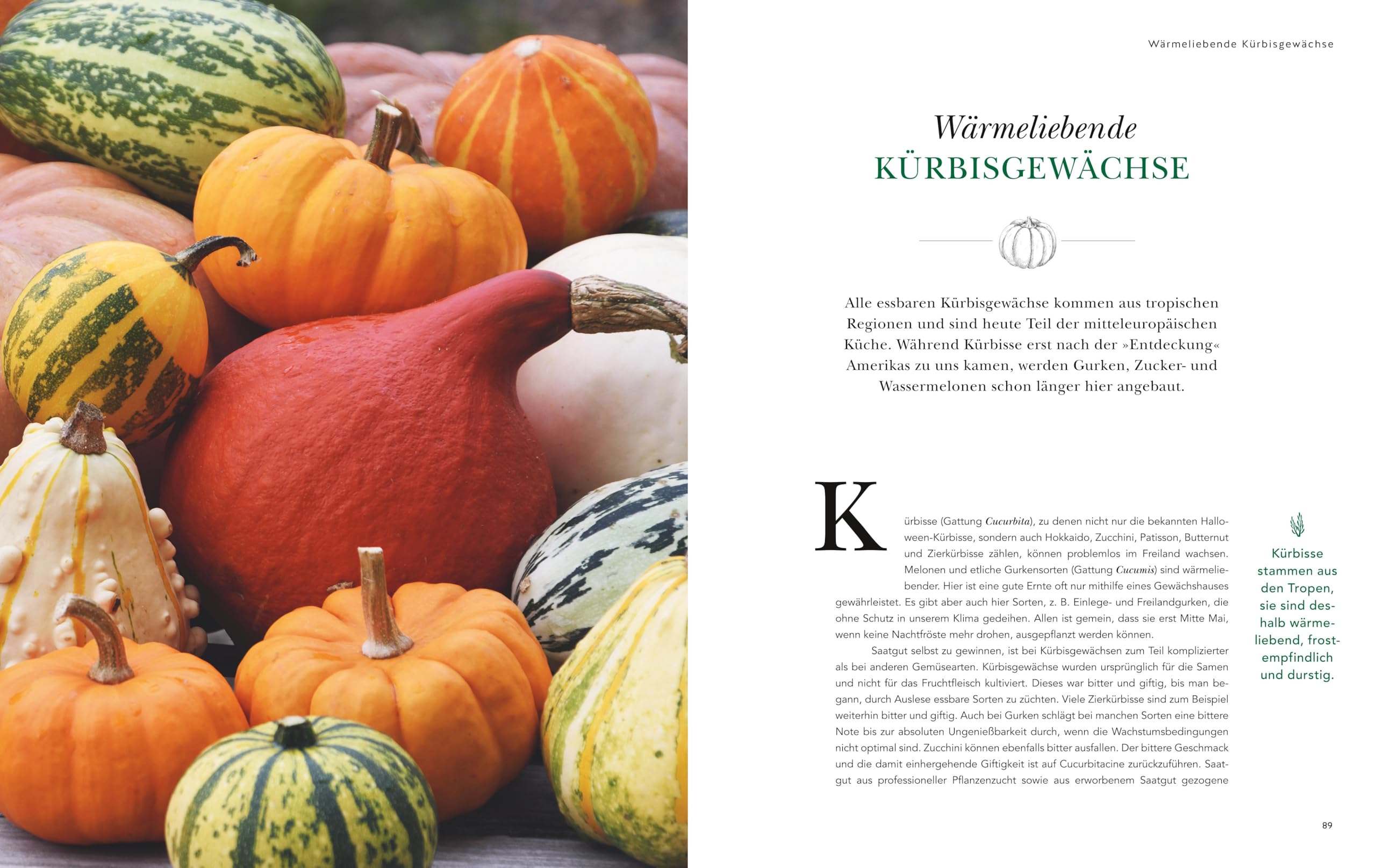 Das große Garten-Gemüse-Buch: Anbauen, Ernten, Haltbarmachen Button: Über 50 beliebte und besondere Sorten entdecken