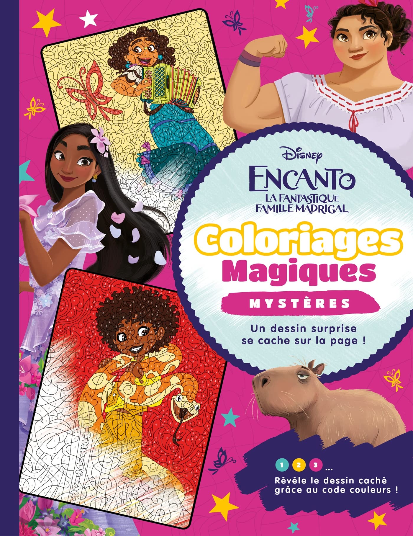 ENCANTO, LA FANTASTIQUE FAMILLE MADRIGAL - Coloriages Magiques - Disney: Coloriages Magiques Mystères