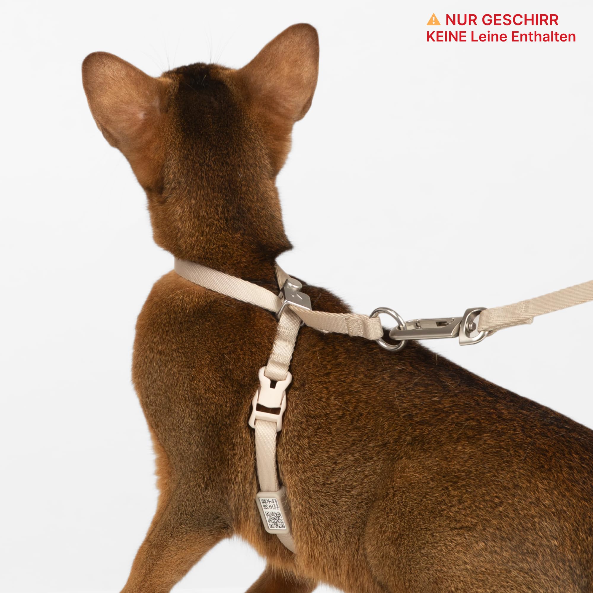 Harnais anti-éclatement pour chat - Réglable - Anti-étranglement - 8 formes - Harnais souple avec code QR - Anti-perte - Harnais sûr pour chat et chaton - Beige - Taille M