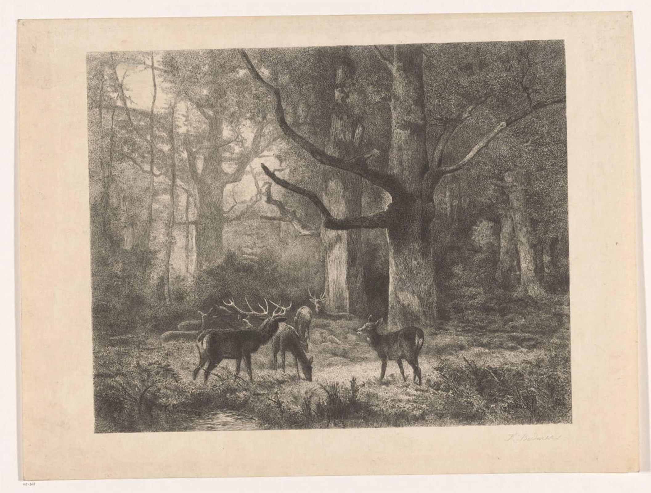 POSTERIIk Vintage Print Pop Art Landscape Artwork Deer in a Forest by Karl Bodmer Art Prints for Office Home Decor 60x90cm