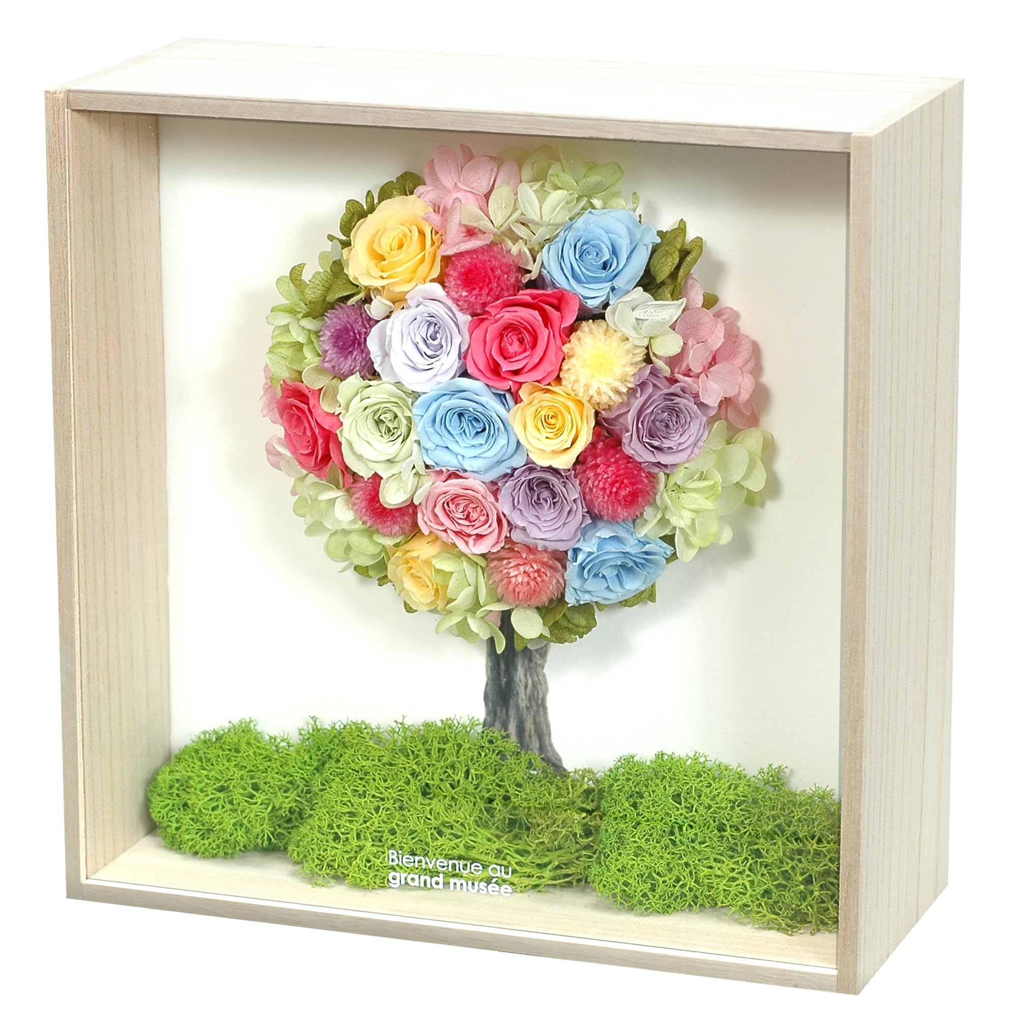 Amazon.co.jp: grand musee: プリザーブドフラワー