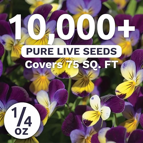 Miniatura 2 de Viola - Johnny Jump-Up - Paquete grande de 14 onza - 10,000 semillas de flores para plantar - Viola Tricolor