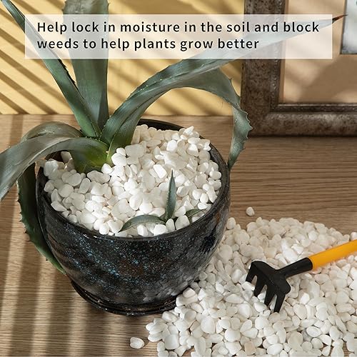 Miniatura 4 de TINYUNICORN Piedras de gravilla para suculentas y cactus de 2 libras, piedras pulidas decorativas naturales de 15-38 pulgadas, rocas de río para