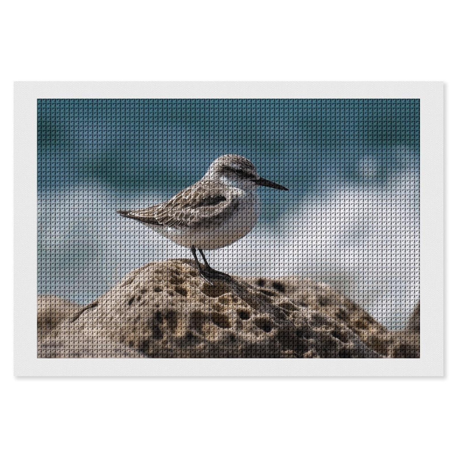 Diamond Painting Kits for Adults - DIY Diamond Art Kits for Beginners - Full 5D Paint Drill Diamond Dots Paintings- Bird Perching on The Rock Diamonds Pictures Gem Art And Craft Wall Decor 8"x12"