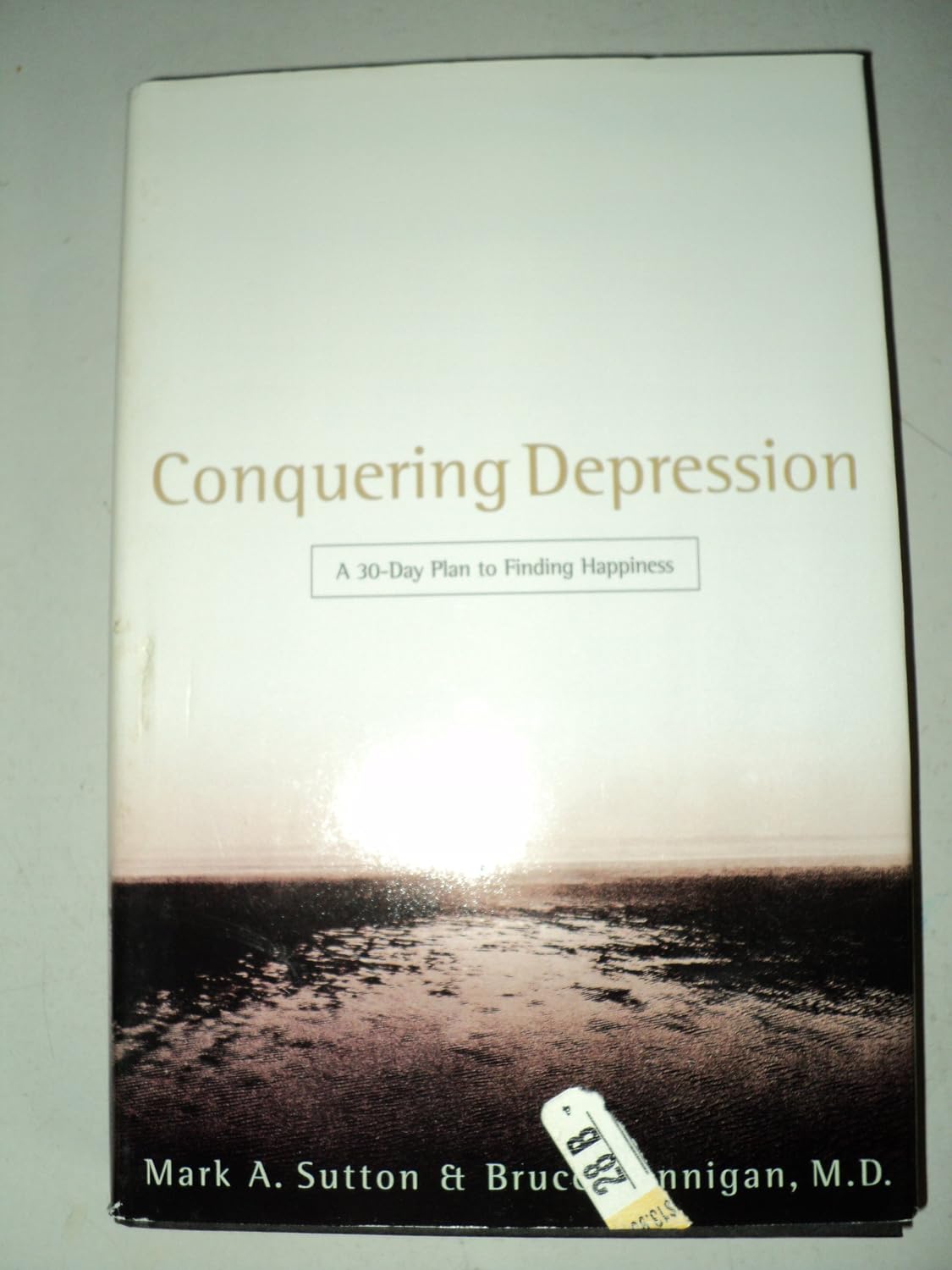 Conquering Depression (A 30 day plan to finding happiness.)