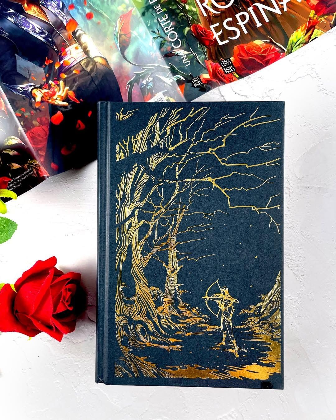 Una corte de rosas y espinas. Edición especial con sobrecubierta reversible: Edición especial con sobrecubierta reversible: 1 (Ficción)
