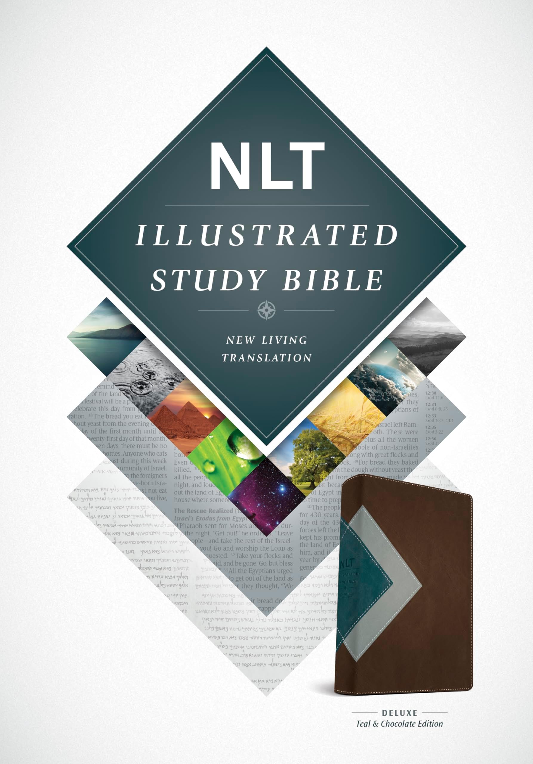 NLT Illustrated Study Bible, TuTone Teal/Chocolate