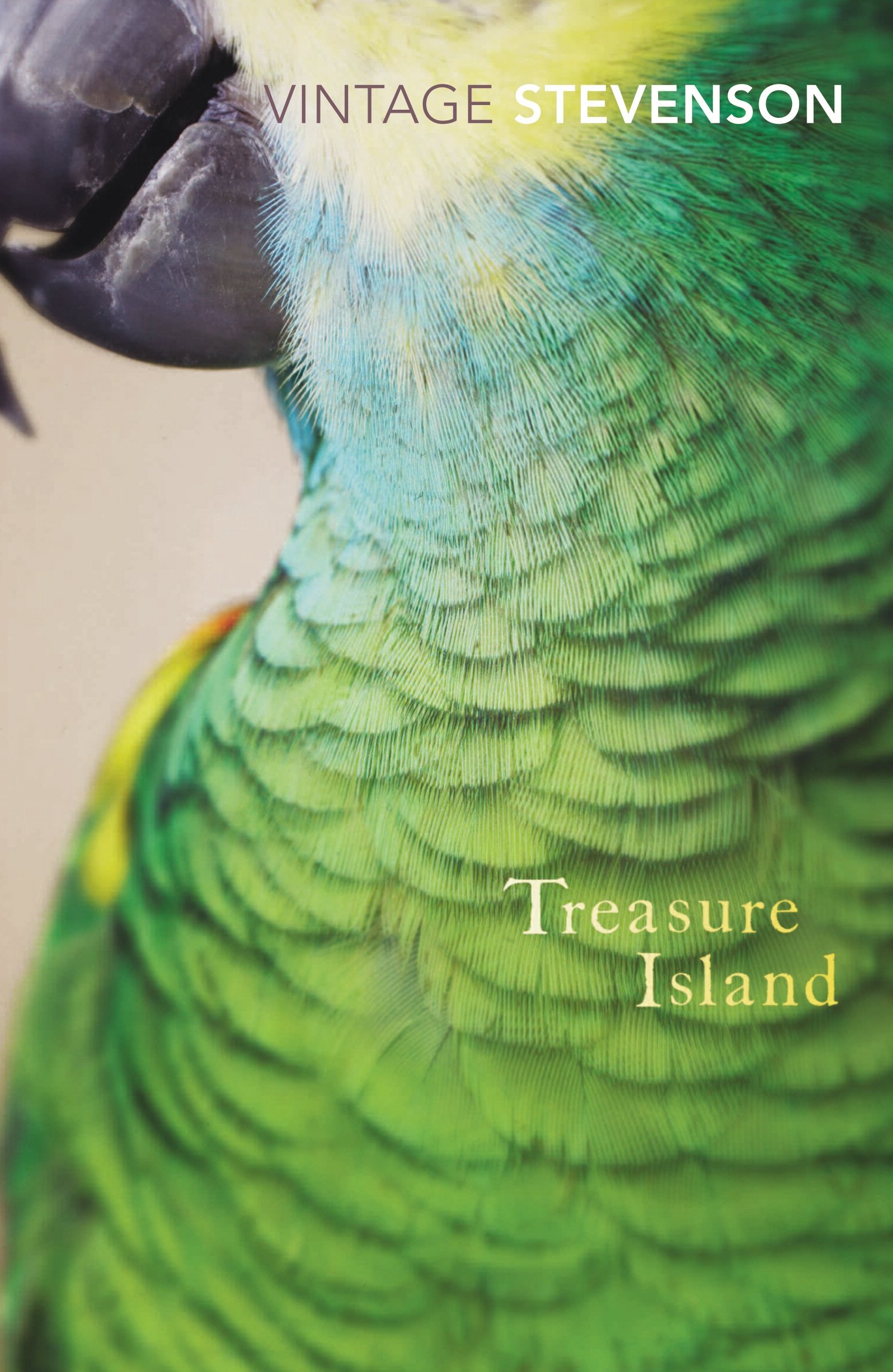 Treasure Island by Robert Louis Stevenson PAPERBACK 9780099511298