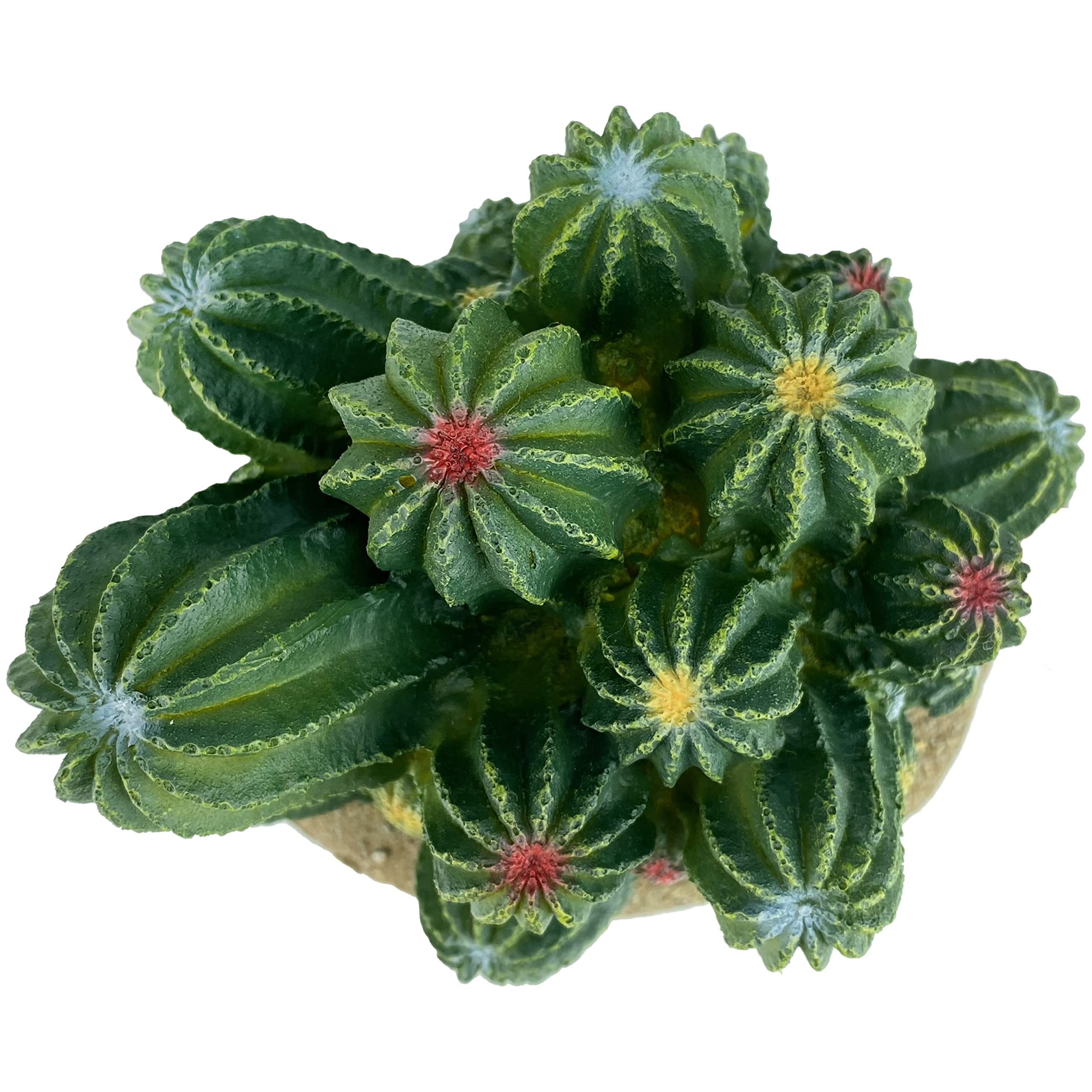 Komodo Fass-Kaktus-Reptilien-Dekoration, natürlich aussehende künstliche Pflanze, Terrarium, Ornament und Lebensraum-Dekoration, leicht zu reinigen und zu pflegen, 10,2 cm hoch