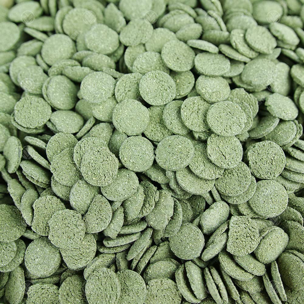 GardenersDream Premium Spirulina Algae Wafers Cibo Completo per Pesci d'Acquario