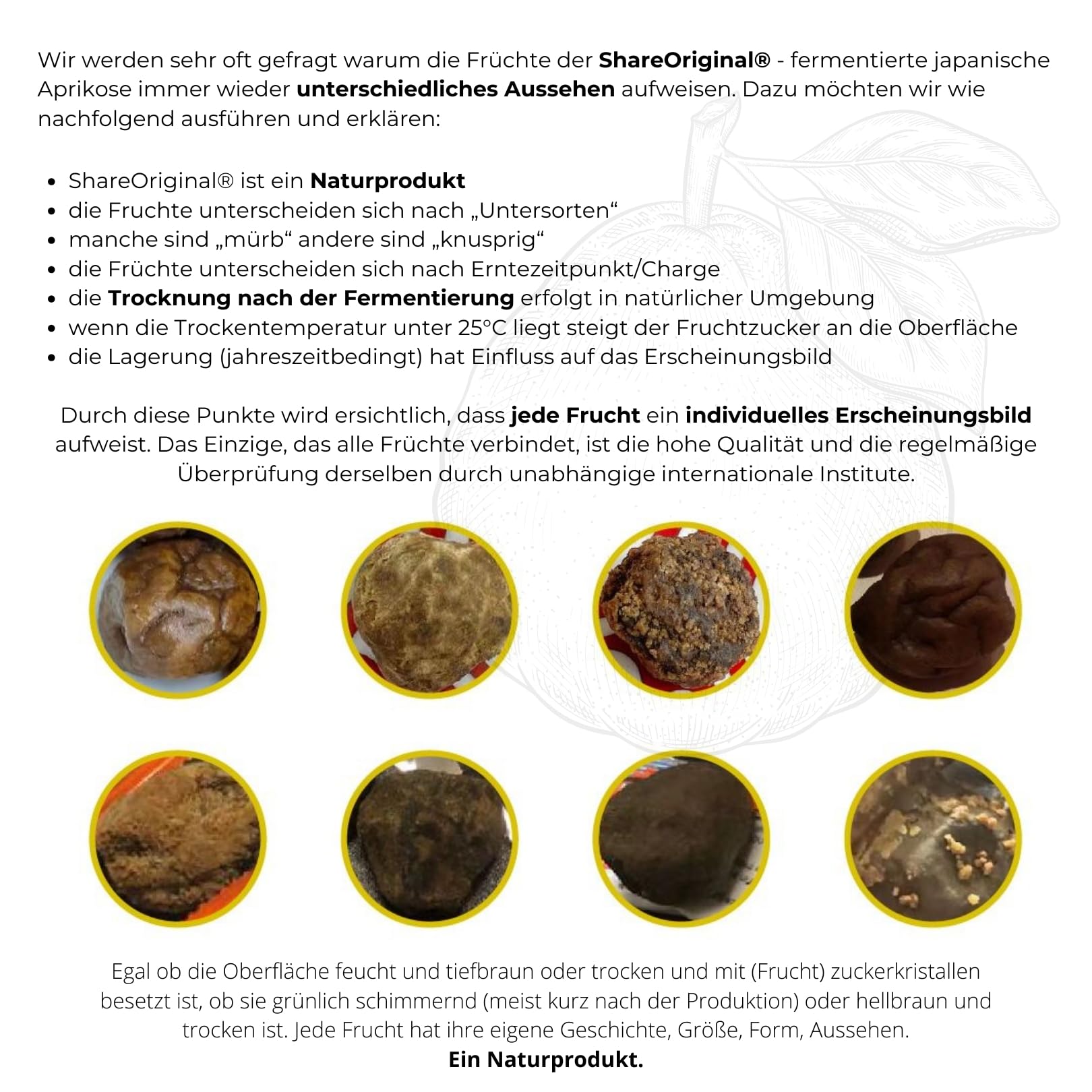 Share Original fermentierte Pflaumen im Eco Beutel 500g (30 Stück) grüne Pflaume fermentiert 500g | grüne Pflaumen/japanischen Aprikosen sind vegan, laktosefrei