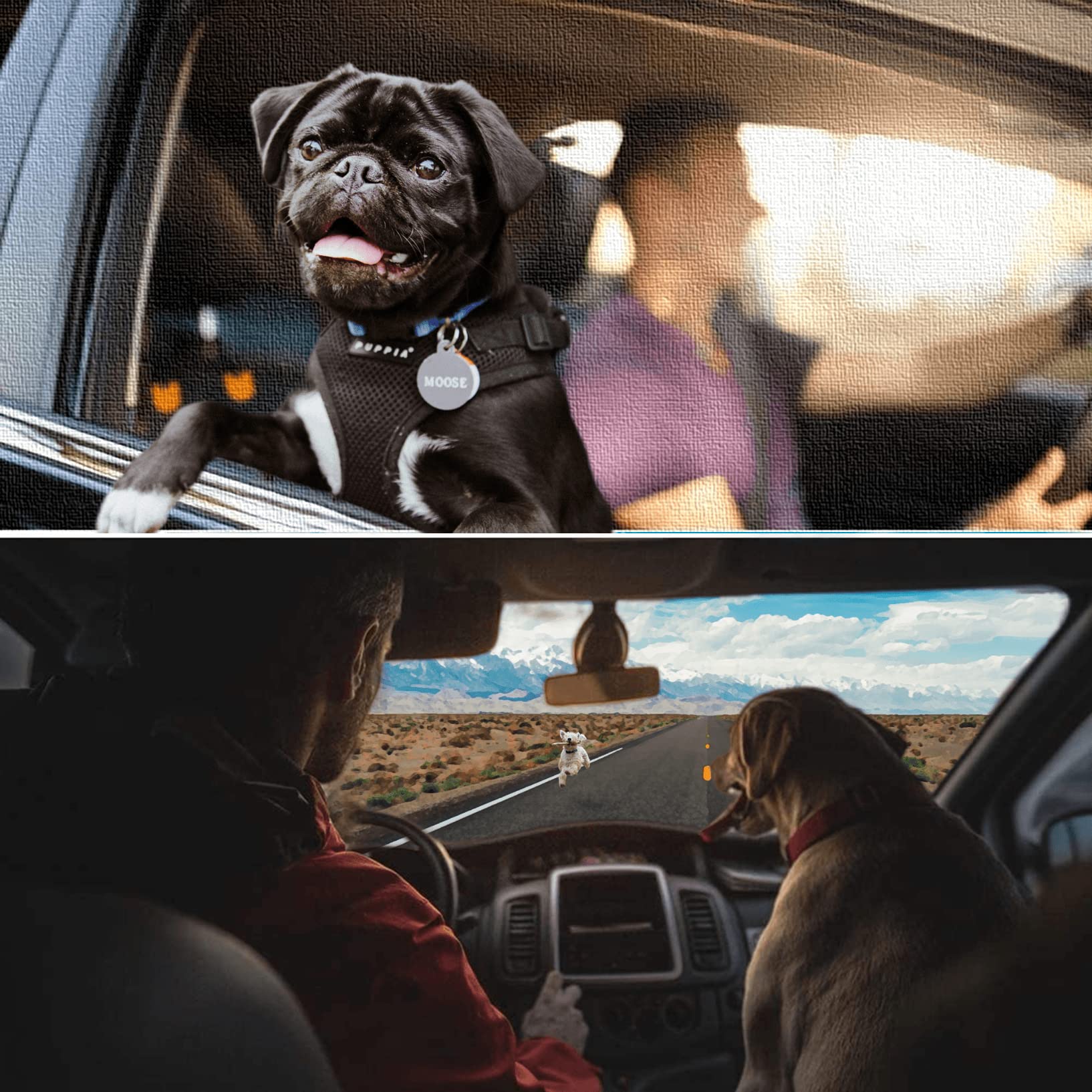 Hunde-Autositzbezug für Vordersitz, wasserabweisende Hundesitzbezüge für Autos, Hundezubehör, waschbar, Hundeautositzschutz für Haustierfell mit kostenlosem Sicherheitsgurt (Farbe: Schwarz)