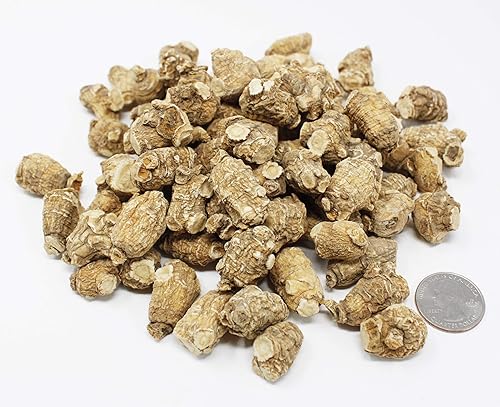 Vista 38 de DOL American Ginseng de Wisconsin(rama de ginseng) Té de ginseng en bolsa (4 oz/bolsa*2)