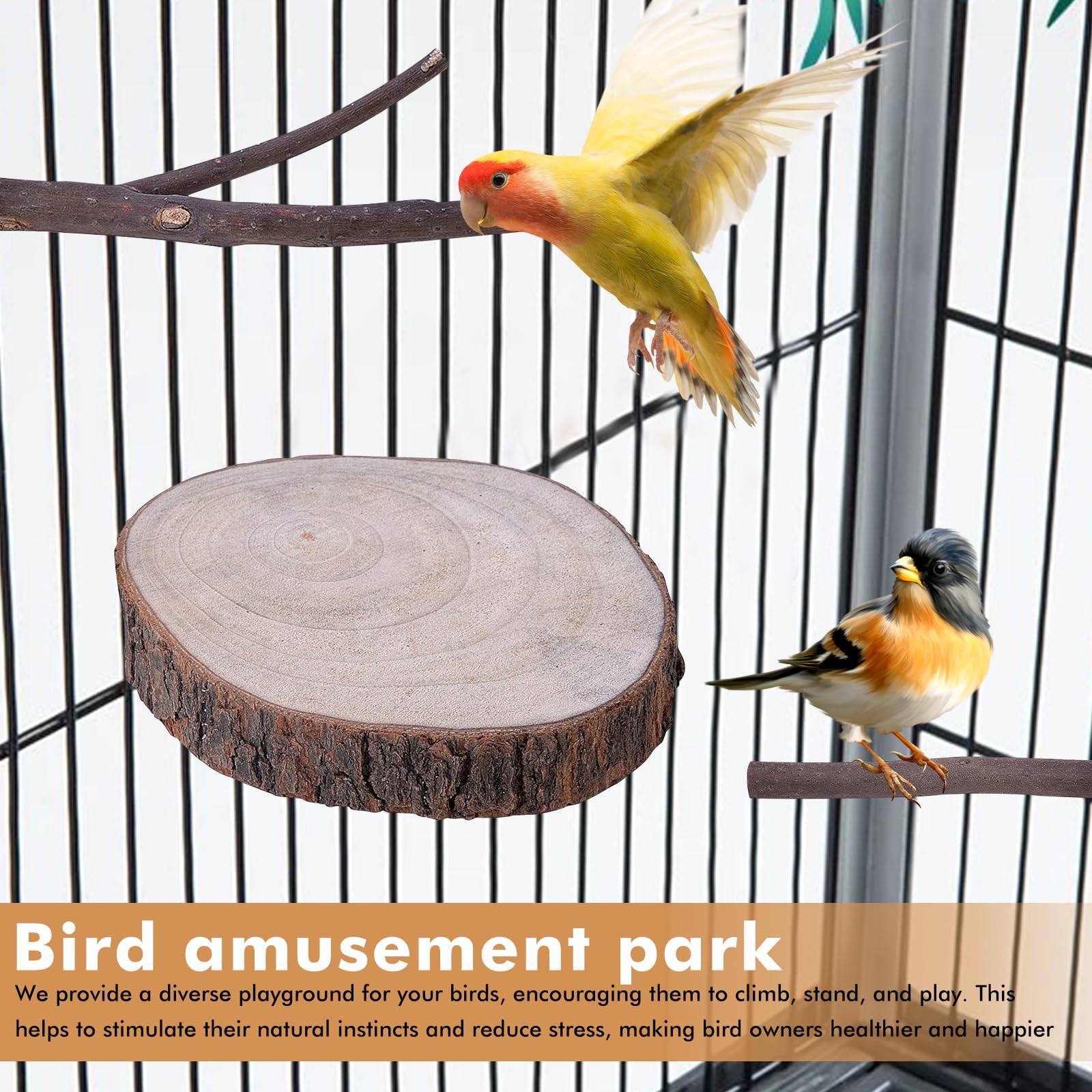8 Delige Set Natuurlijke Zitstokken Voor Vogels, Natuurlijk Houten Vogel Vogelstandaard Parkiet Zitstok Grasparkieten Met Meerdere Takken 3139393183
