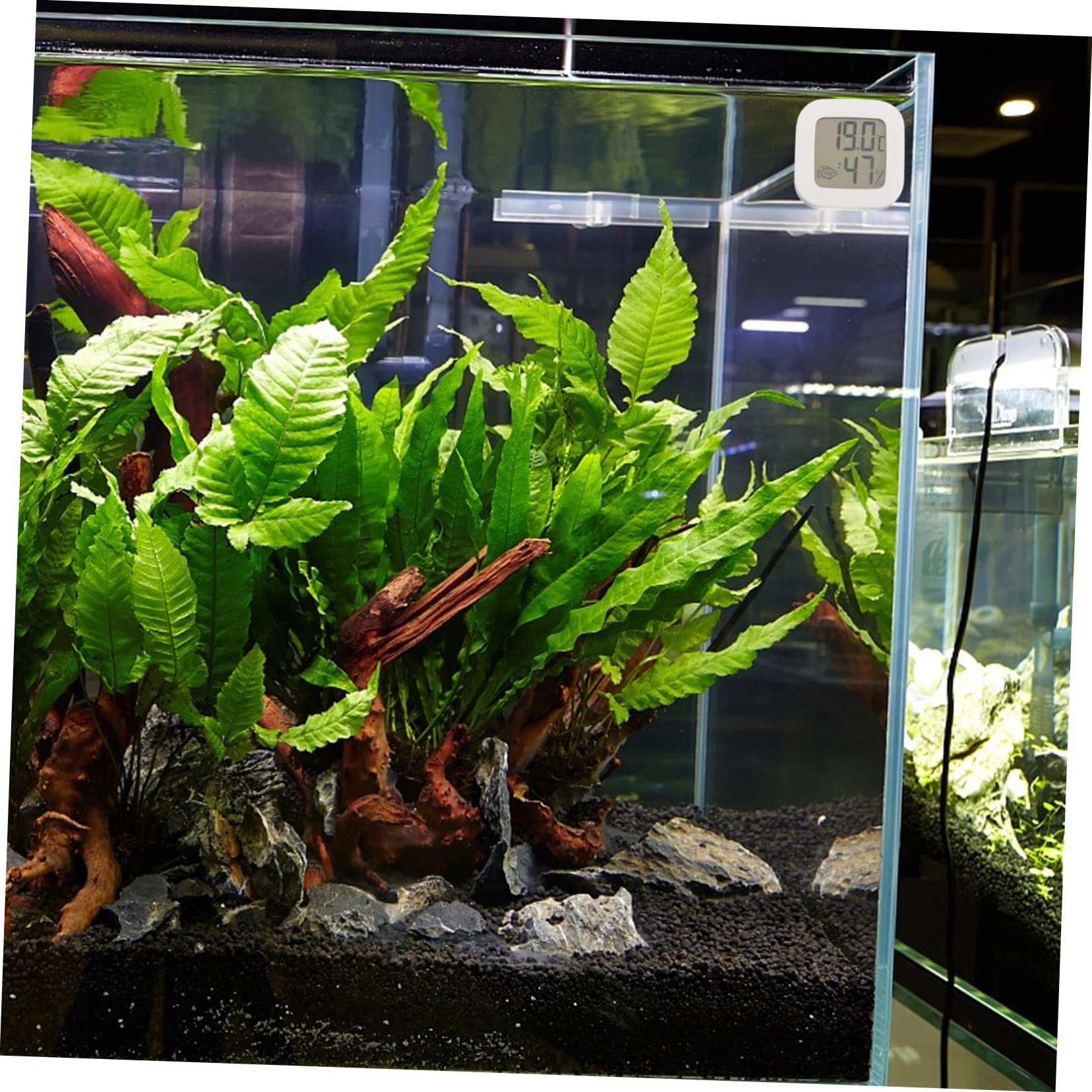 BESPORTBLE 5piezas Termómetro Digital Para Acuario Adhesivo Medidor De Temperatura Para Peceras De Agua Dulce y Salada Lecturas Precisos Cada Segundos Fácil Instalación y Portátil