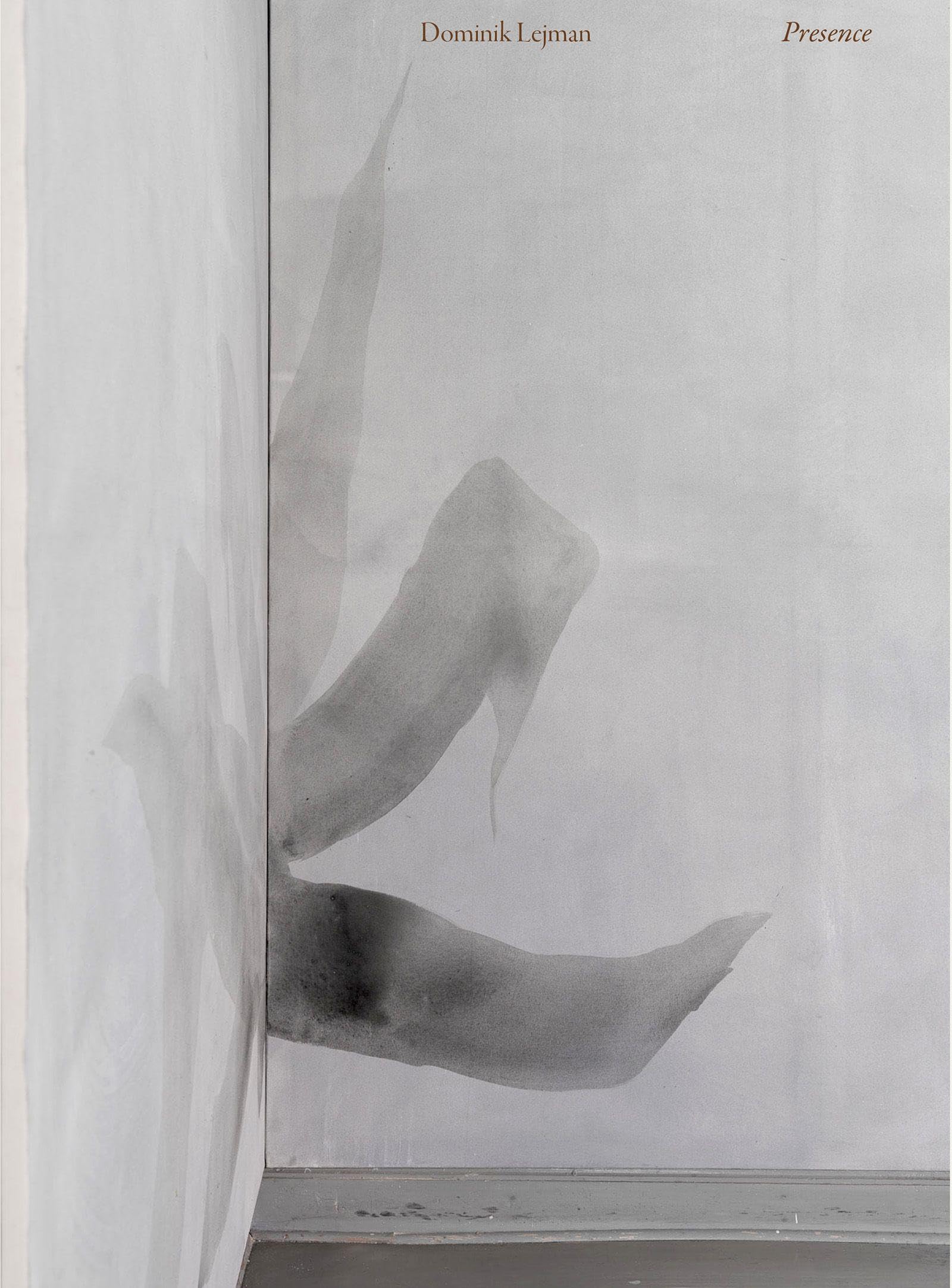 Dominik Lejman Phantoms catalogue exposition peinture monographie artiste