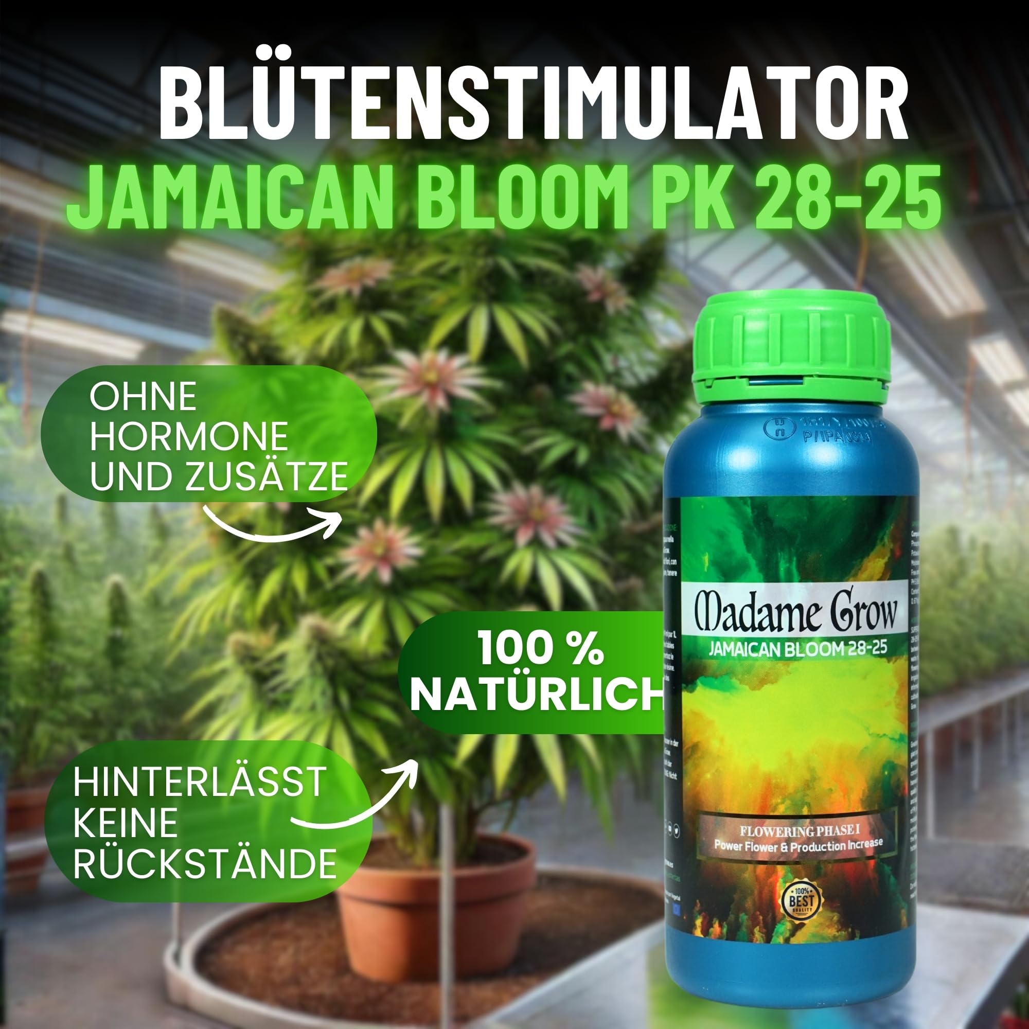 MADAME GROW dünger pflanzen - dünger pflanzen - dünger pflanzen grün - dünger pflanzen grün - substrat pflanzen grün - dünger für pflanzen - universal dünger - blattdünger(JAMAICAN BLOOM 1L)