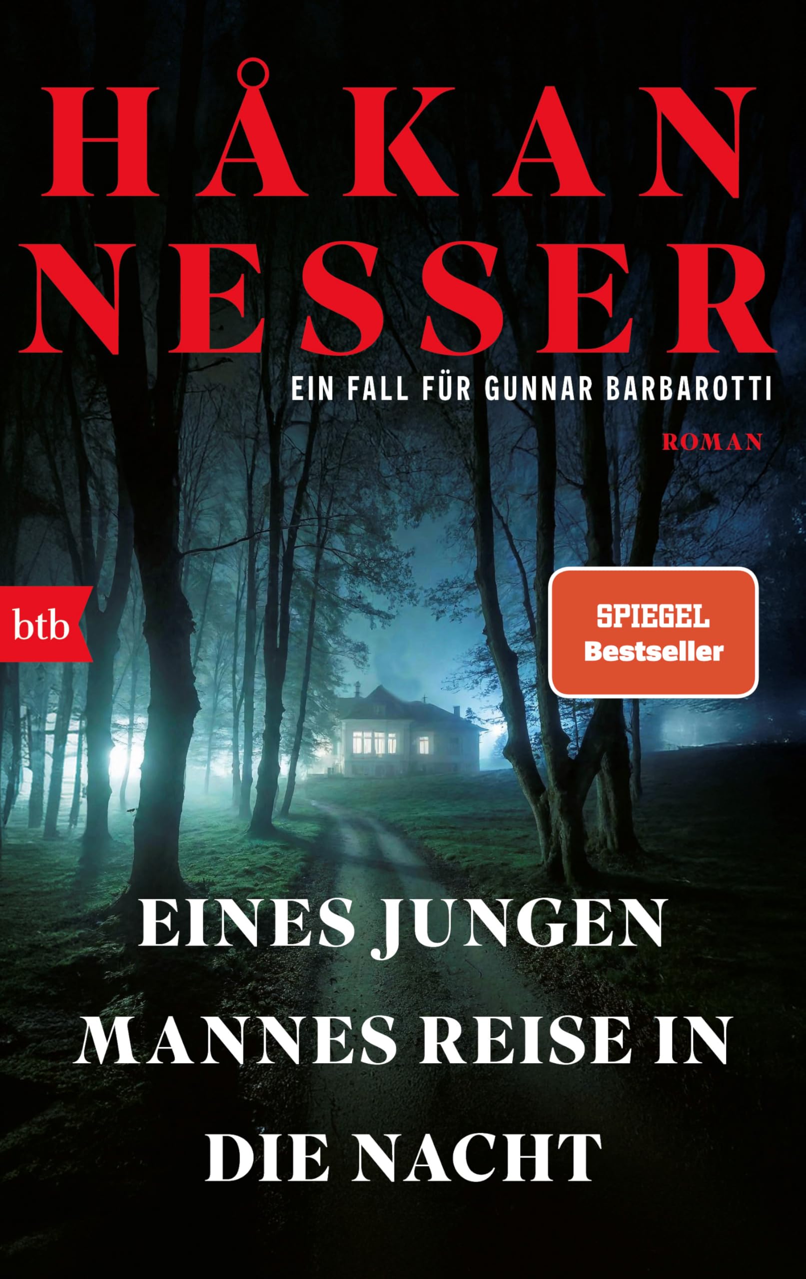 Eines jungen Mannes Reise in die Nacht: Roman