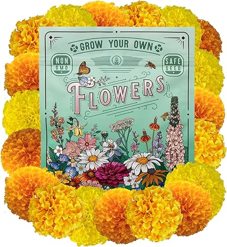 Semillas de caléndula africana a granel  Mezcla de crackerjack  36,000 semillas para 2,500 pies cuadrados de cobertura  Paquete de 4 onzas  Mountain