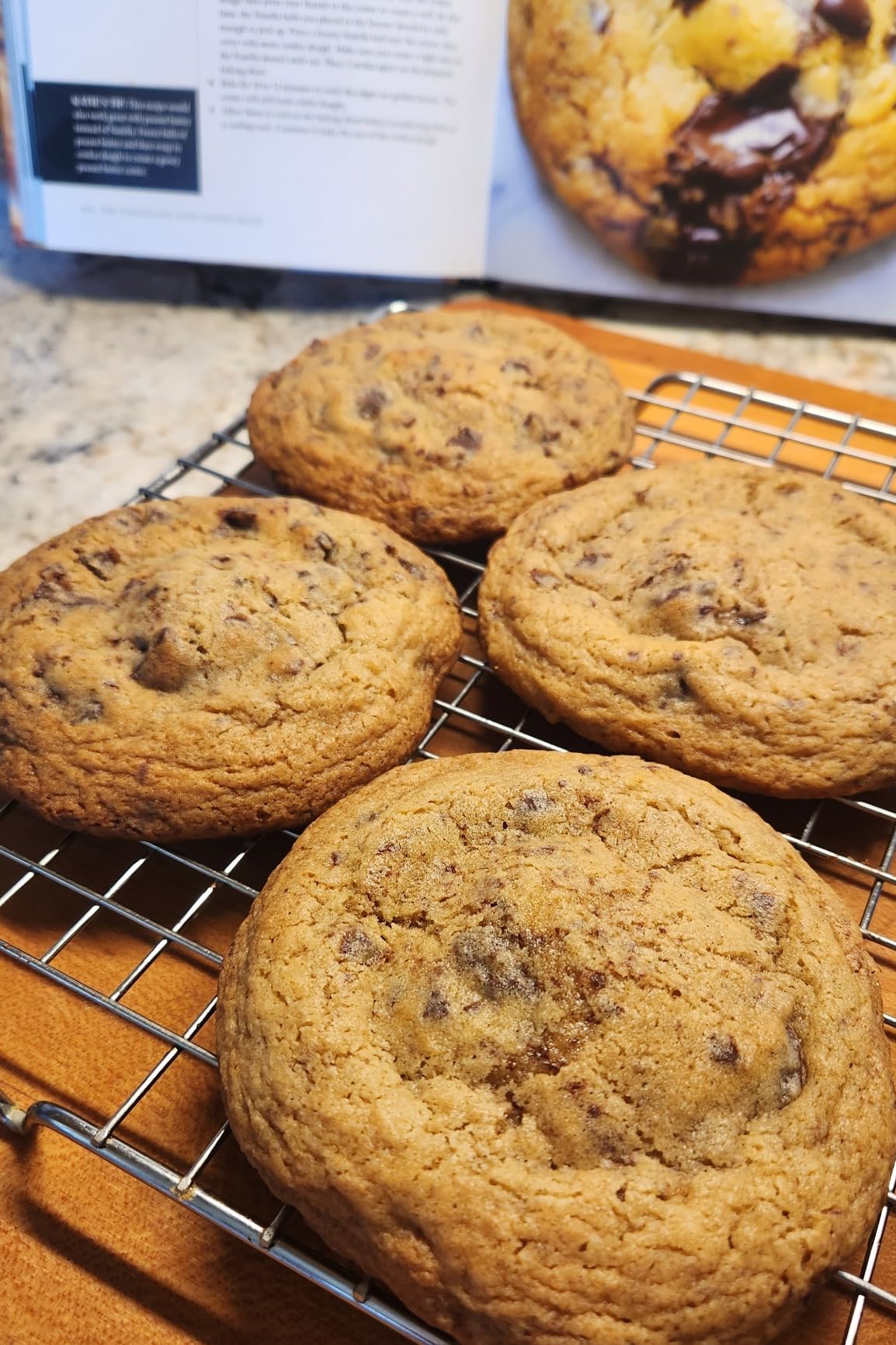 The Chocolate Chip Cookie Book: Classic, Creative, and Must-Try Recipes ...