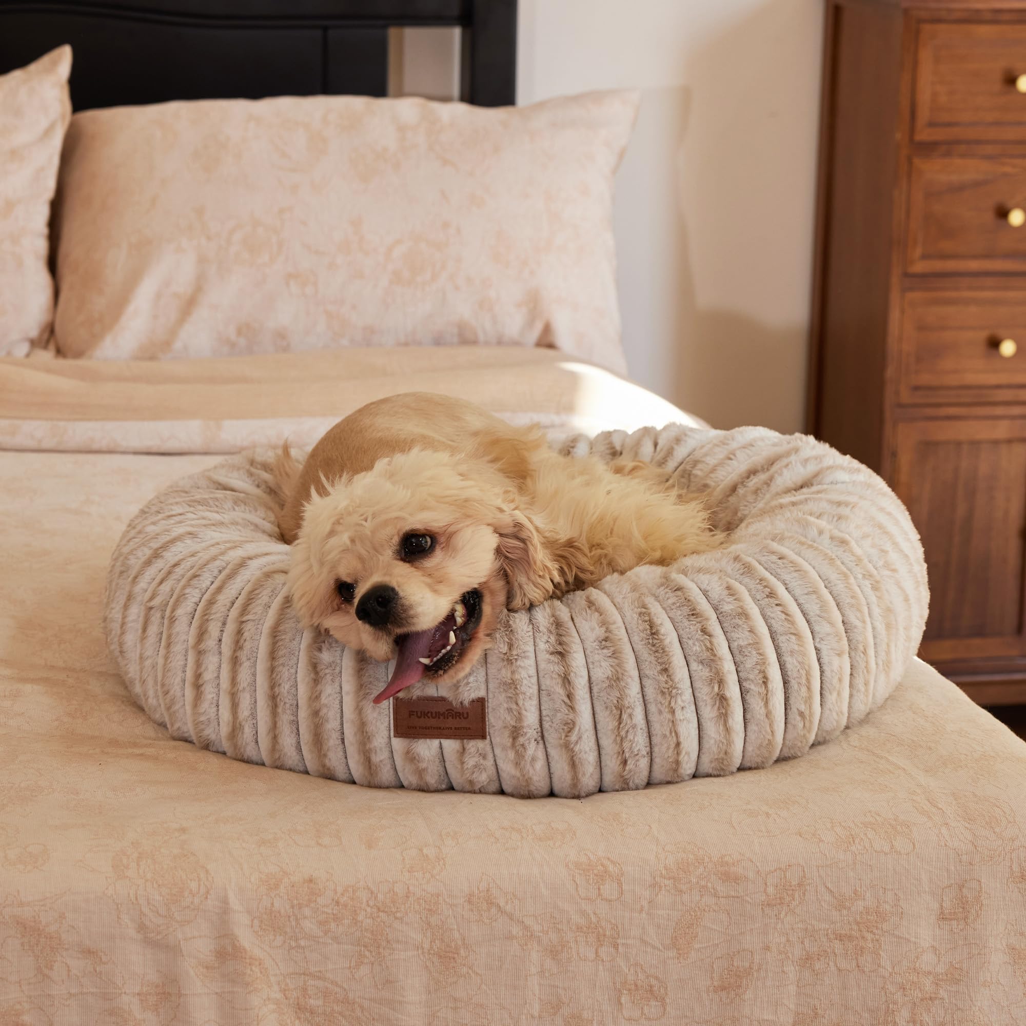 FUKUMARU Panier pour Chien, Lit Béquille Apaisant pour Chiots Anxieux, Coussin Moderne Dehoussable Lavable pour Chat à Imprimé Dégradé, Panier Orthopédique pour Chiot, Couleur Camel, 63cm
