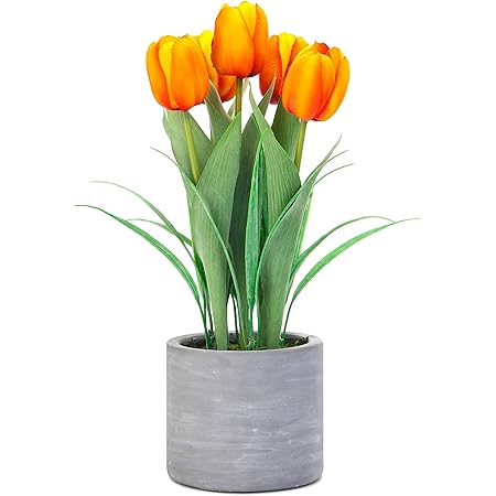 Jusdreen Flores artificiales de tulipanes en maceta con cemento, flores de  tulipanes vívidos arreglos para decoración del hogar y la oficina de la 