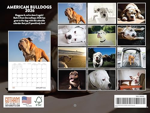 Vista 142 de Calendario Goldendoodle 2026 Golden Doodle mensual de pared calendario de 12 meses Fabricado en Estados Unidos