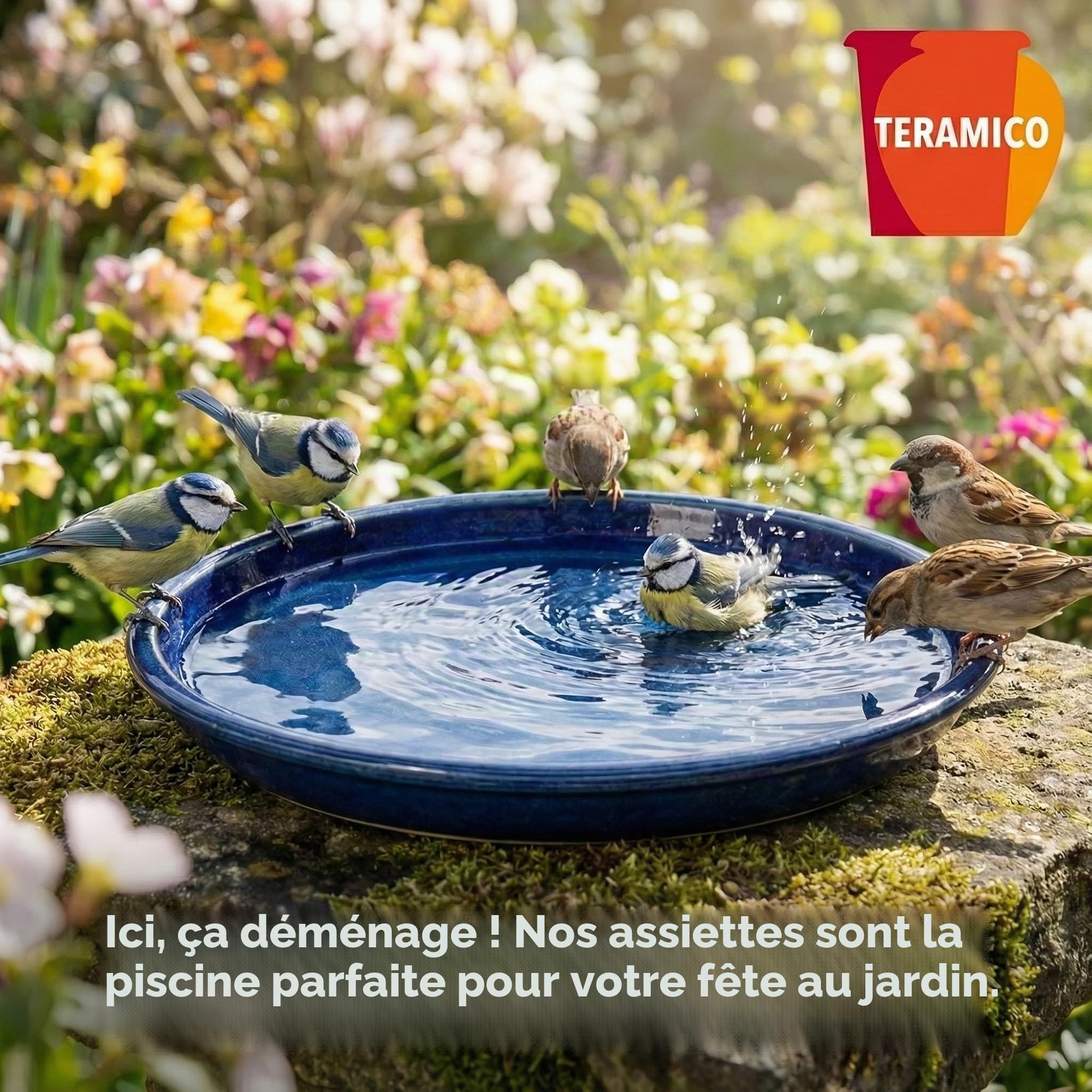 teramico Abreuvoir pour Oiseaux/Assiettes/Soucoupe pour Pots de Fleurs en grès émaillé en grès Bleu, Blanc, Anthracite, 24 cm à 42 cm, résistant au Gel (40 cm, Bleu Roi)