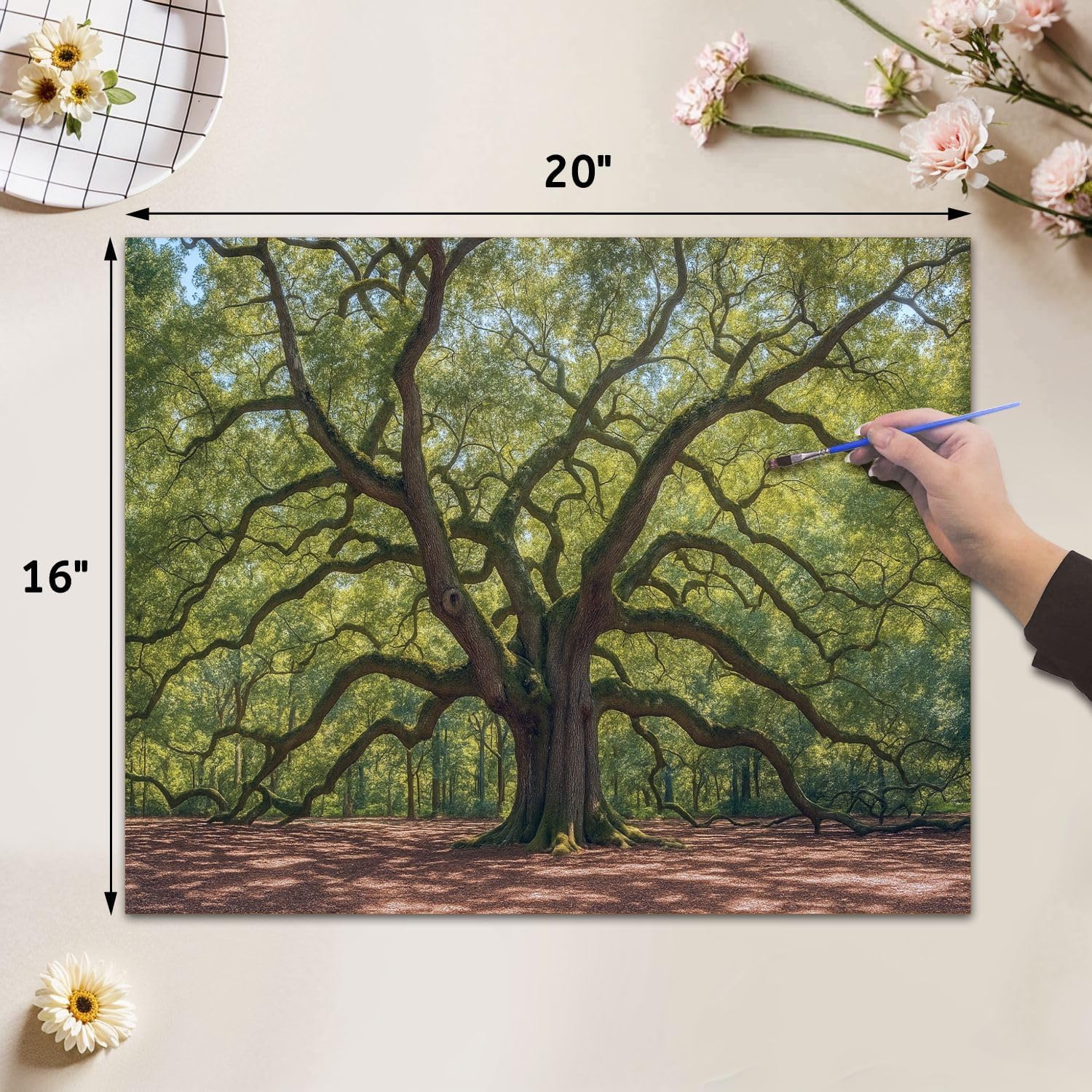 VETEB Paint by Numbers Kit for Adults Beginner Angle Oak Tree South DIY Painting on Canvas by Numbers Acrylic Oil Painting for Home Decor Gifts 16"x20"