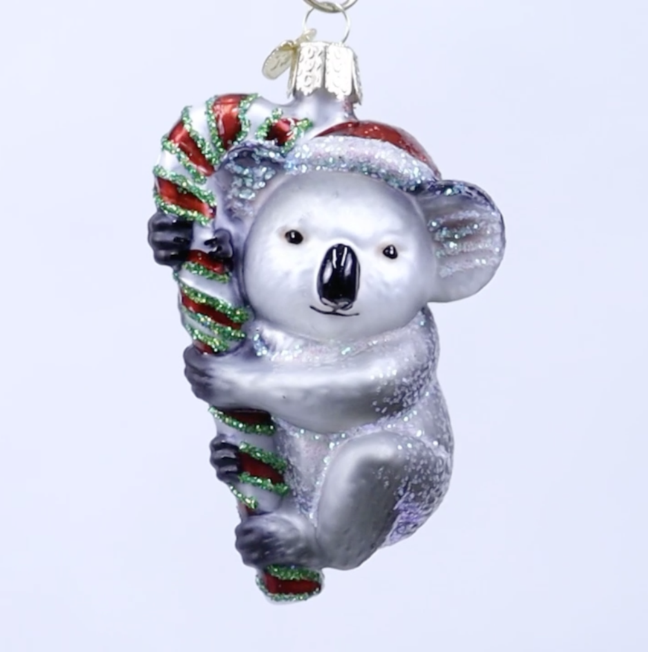 Amazon.com: Old World Christmas Koala Glass Blown Ornament for