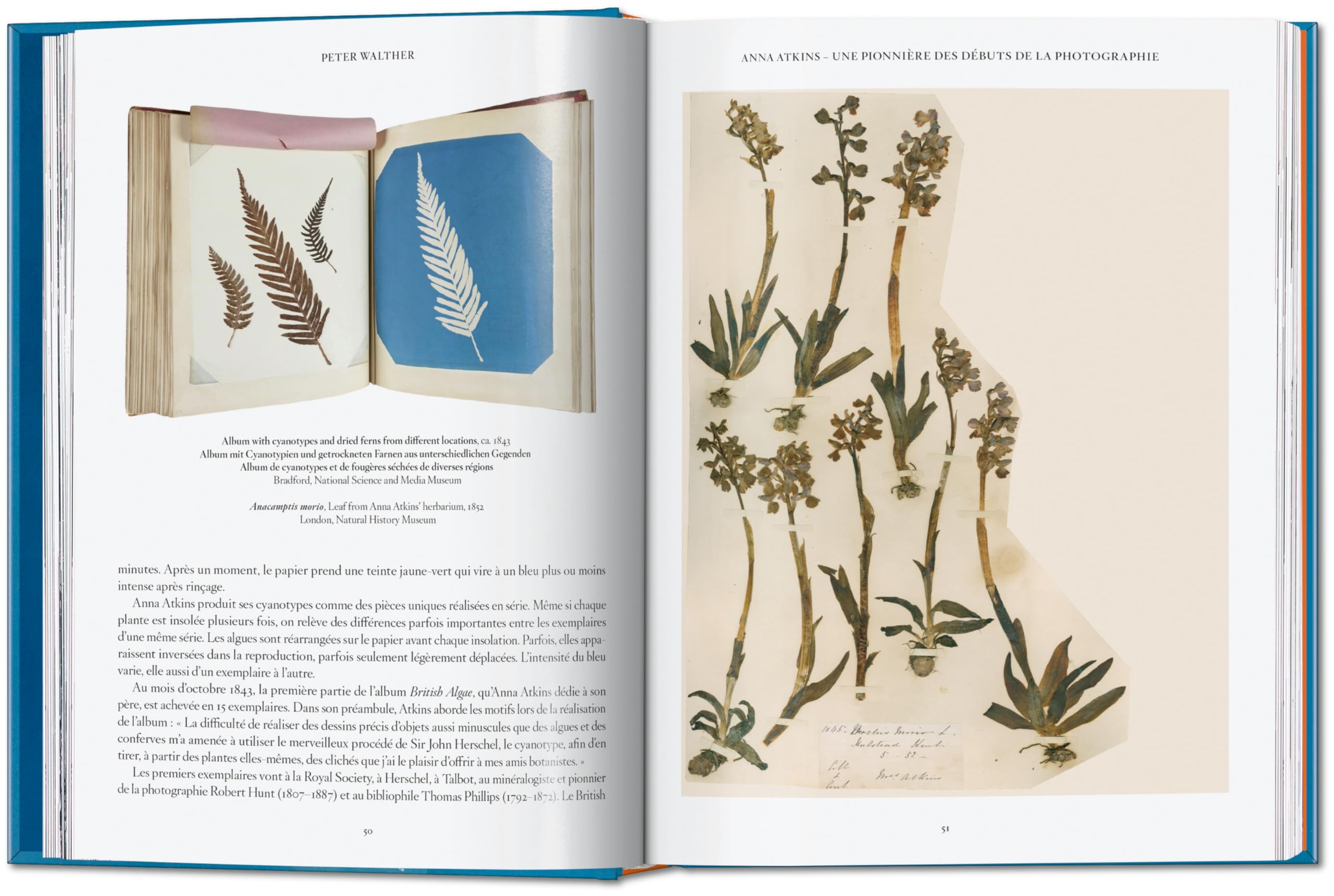 Anna Atkins: Cyanotypes. 45th Ed.