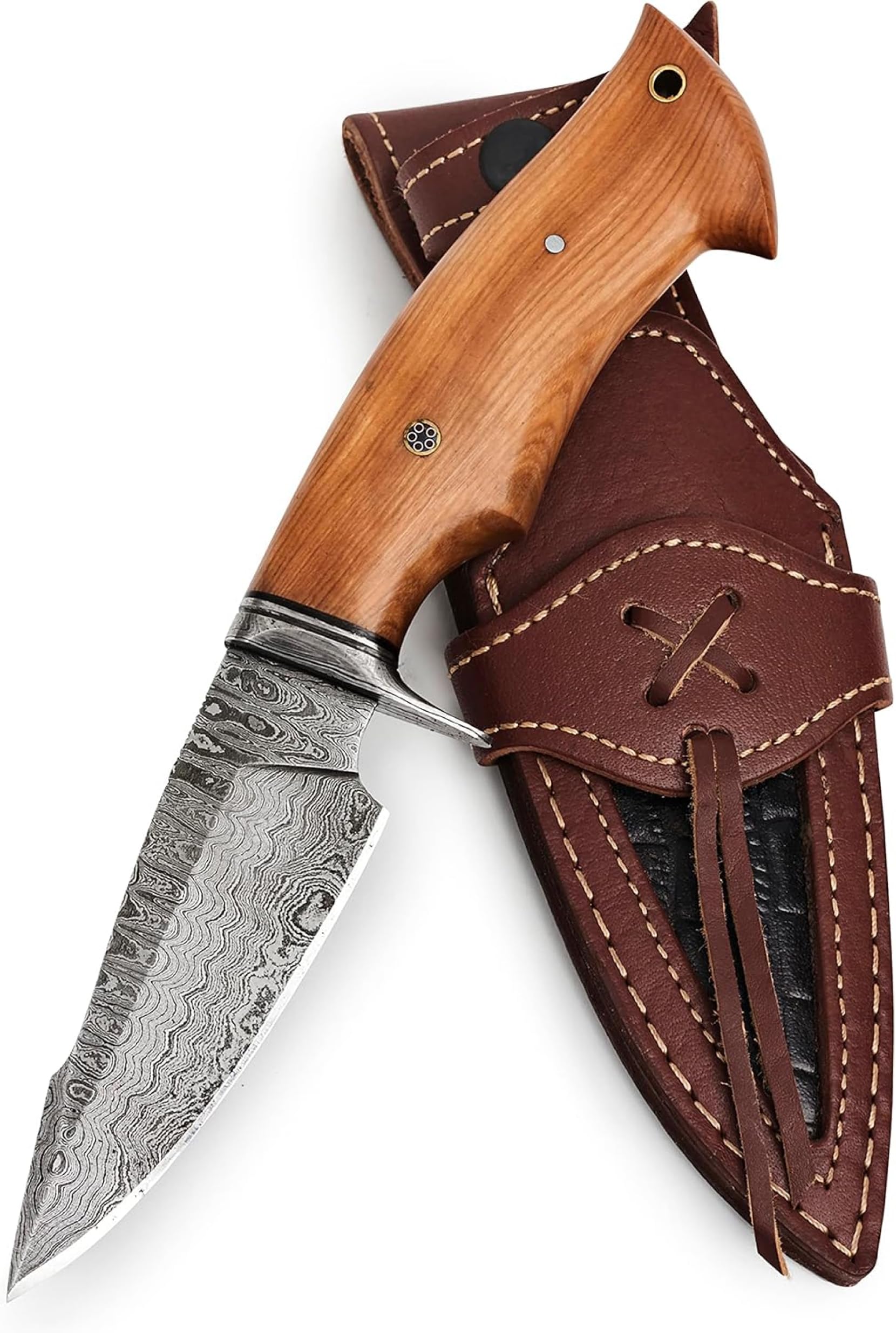 BIGCAT ROAR Ręcznie Robiony Nóż Myśliwski z Damastu - Stały Nóż do Bushcraftu z Futerałem i Rękojeścią z Drewna Oliwnego - 10″ Nóż do Skórowania - Łowca Drapieżników