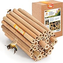 BEESI 100x Bambusröhrchen für Insektenhotel I 14 cm Länge I Bambus für Bienenhotel I Füllmaterial Wildbienen Zubehör