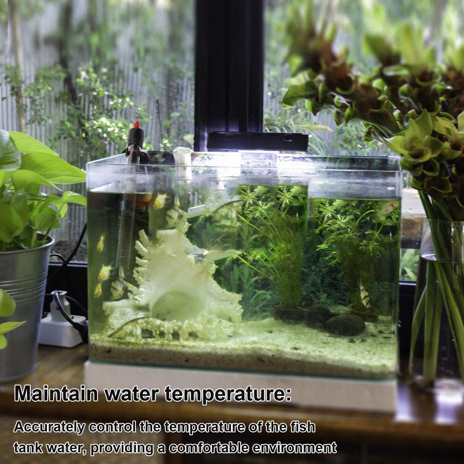 ベタ専用水槽 スマートタンク ヒーター LED内蔵 温度調節